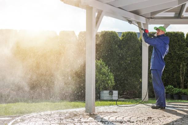 Best Dumpster Area Cleaning  in London, CA